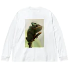 可愛い動物のカメレオン Big Long Sleeve T-Shirt