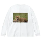 mayura_photoのサバンナのメスライオン Big Long Sleeve T-Shirt