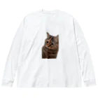 猫ミームグッズの【猫ミーム】叱られる猫 Big Long Sleeve T-Shirt