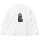 猫ミームグッズの絶望する子猫 Big Long Sleeve T-Shirt