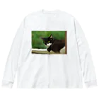 horidesuの振り向くネコ Big Long Sleeve T-Shirt