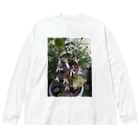 ミクロのユキノシタのお花が可愛らしい〜 Big Long Sleeve T-Shirt