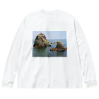 amaterasu358800の夫婦岩 Big Long Sleeve T-Shirt