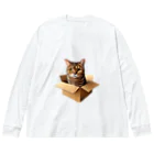 猫の小梅お嬢さんの小梅ちゃん　箱猫 Big Long Sleeve T-Shirt