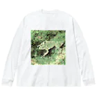 Fantastic FrogのFantastic Frog -Paper Money Version- Big Long Sleeve T-Shirt