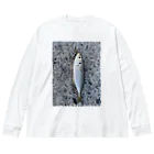 popcornの３月に釣れたアジ Big Long Sleeve T-Shirt