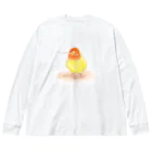 まめるりはことりのコザクラインコ　レイ【まめるりはことり】 ビッグシルエットロングスリーブTシャツ