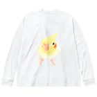 まめるりはことりのオカメインコ　おすましルチノー【まめるりはことり】 Big Long Sleeve T-Shirt