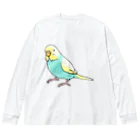 まめるりはことりのごきげんセキセイインコ【まめるりはことり】 ビッグシルエットロングスリーブTシャツ