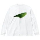 まめるりはことりのサザナミインコ　グリーン【まめるりはことり】 Big Long Sleeve T-Shirt