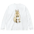 mofusandのちっこいねこ Big Long Sleeve T-Shirt