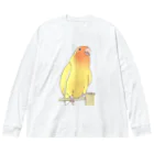 まめるりはことりの得意げ可愛い　コザクラインコちゃん【まめるりはことり】 Big Long Sleeve T-Shirt