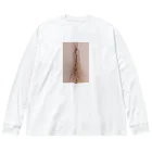 まふゆ村の乾いたお花たち💐 Big Long Sleeve T-Shirt