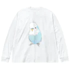 まめるりはことりの可愛いジャンボセキセイインコ【まめるりはことり】 Big Long Sleeve T-Shirt