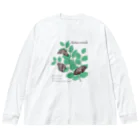 kitaooji shop SUZURI店のアカボシゴマダラとエノキ Big Long Sleeve T-Shirt