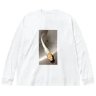 m-d-kの煌　めだか Big Long Sleeve T-Shirt