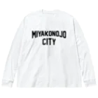 JIMOTO Wear Local Japanの都城市 MIYAKONOJO CITY Big Long Sleeve T-Shirt