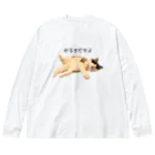 ANAN＠猫ひろしの人🥚🥚のやる気だせよ Big Long Sleeve T-Shirt