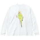 まめるりはことりのピタッとセキセイインコちゃん【まめるりはことり】 Big Long Sleeve T-Shirt