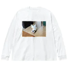 ポメロンの犬 ビッグシルエットロングスリーブTシャツ