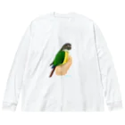 アキクサインコとウロコインコの手のりインコ、ウロコインコ Big Long Sleeve T-Shirt