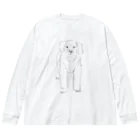 アグネスサンシャインレイクのr line@ Big Long Sleeve T-Shirt