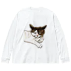 鼠の王国製作所の猫相の悪い猫がこちらをみている ビッグシルエットロングスリーブTシャツ