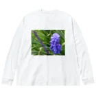 でおきしりぼ子の実験室のMuscari botryoides(4:3) ビッグシルエットロングスリーブTシャツ