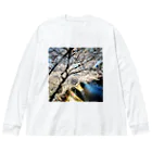 ppmの桜 Big Long Sleeve T-Shirt