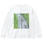 asako=niagaraのホオアカの寄り道② ビッグシルエットロングスリーブTシャツ