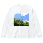 ぺてぃもーずのおみせのソラとハッパ Big Long Sleeve T-Shirt