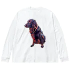 flatcoatedretrieverのflatcoated retriever Big Long Sleeve T-Shirt