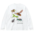 幻想水系branch　byいずもり・ようのentomograffiti　〜predators〜 Big Long Sleeve T-Shirt