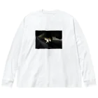 もずくの夜の猫 Big Long Sleeve T-Shirt