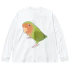 まめるりはことりの見つめるコザクラインコちゃん【まめるりはことり】 ビッグシルエットロングスリーブTシャツ