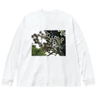 ノスタルジーテリアのflower wg Big Long Sleeve T-Shirt