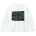 目黒川のキンモクセイ Big Long Sleeve T-Shirt