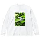 ぽ！！の紫陽花のTシャツ Big Long Sleeve T-Shirt