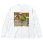 inko andのウロコインコのおーちゃん ビッグシルエットロングスリーブTシャツ