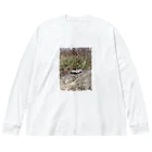 japari16の廃車ミニカー Big Long Sleeve T-Shirt