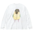 まめるりはことりの可愛いウロコメキシコインコちゃん【まめるりはことり】 ビッグシルエットロングスリーブTシャツ