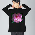 akane_art（茜音工房）の癒しの風景（ハス） Big Long Sleeve T-Shirt