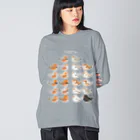 コトリコ雑貨のエンガワが爆発するキンカチョウ(集合) Big Long Sleeve T-Shirt