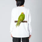 街のいろどりのキガシラアオハシインコ（背面プリント) ビッグシルエットロングスリーブTシャツ