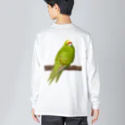 街のいろどりのキガシラアオハシインコ（背面プリント) ビッグシルエットロングスリーブTシャツ