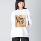 猫ねむりzzz..のスケッチ風の猫さん ビッグシルエットロングスリーブTシャツ