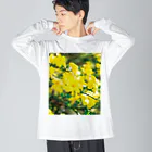 akane_art（茜音工房）の癒しの風景（オウバイ） Big Long Sleeve T-Shirt