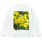 akane_art（茜音工房）の癒しの風景（オウバイ） Big Long Sleeve T-Shirt