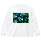 akane_art（茜音工房）の癒しの風景（アジサイ） Big Long Sleeve T-Shirt