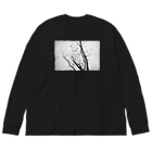 photo-kiokuの鳩の群れ Big Long Sleeve T-Shirt